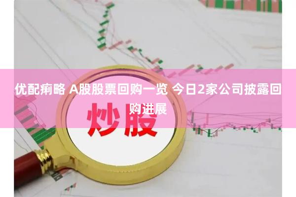 优配痢略 A股股票回购一览 今日2家公司披露回购进展
