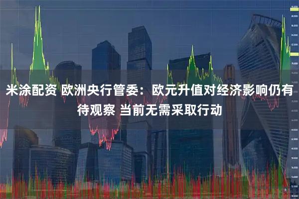 米涂配资 欧洲央行管委：欧元升值对经济影响仍有待观察 当前无需采取行动