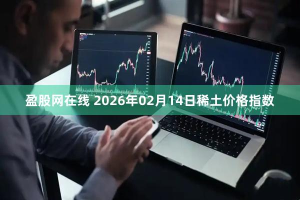 盈股网在线 2026年02月14日稀土价格指数